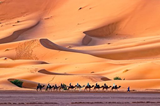 Desert maroc merzouga