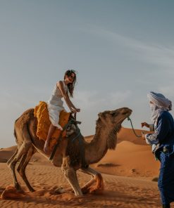Camel