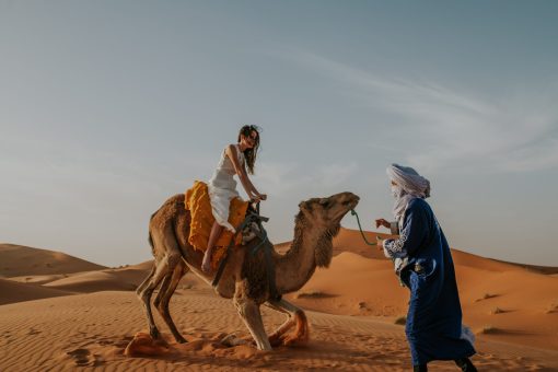 Camel