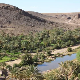 Oasis Fint Ouarzazate